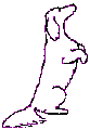 DachSitUpL