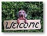Longhair Welcome Sign